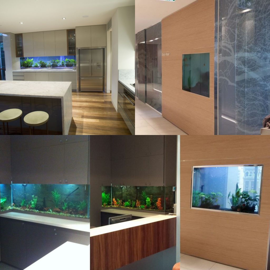 custom aquarium installation in wall