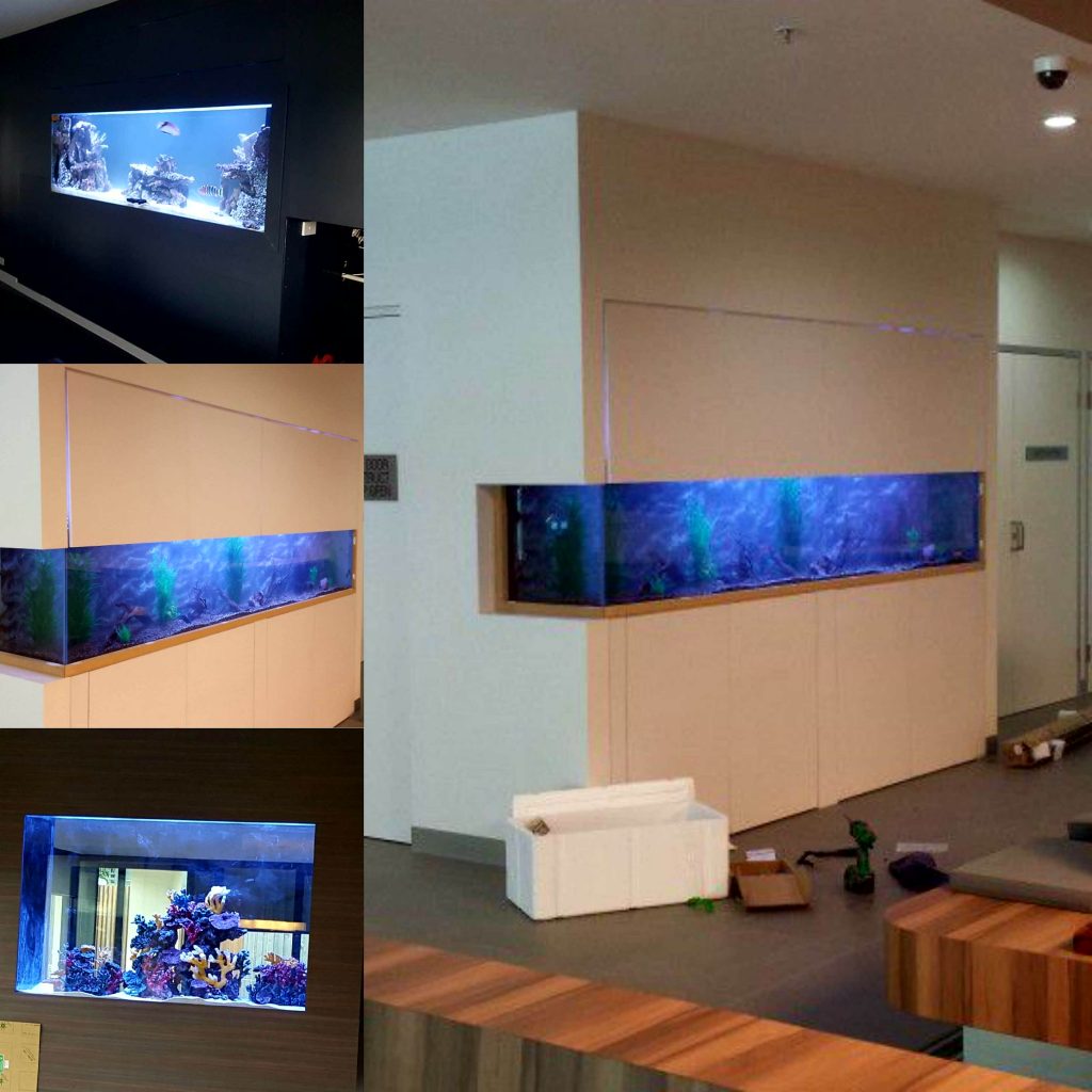 custom aquarium installation corner wall examples