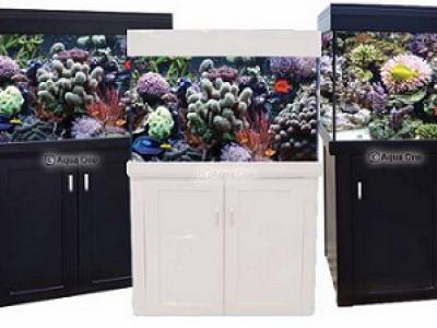 Aqua One tanks, beautiful display cabinet Aquariums