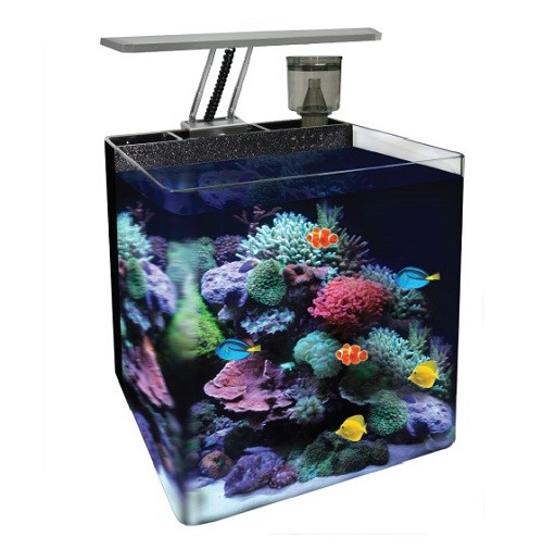 aqua-one-nano-reef-tank-35-litre